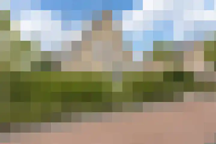Rentmeester 23 Steenwijk thumbnail 6