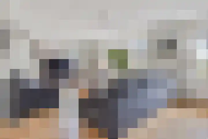 Rentmeester 23 Steenwijk thumbnail 9