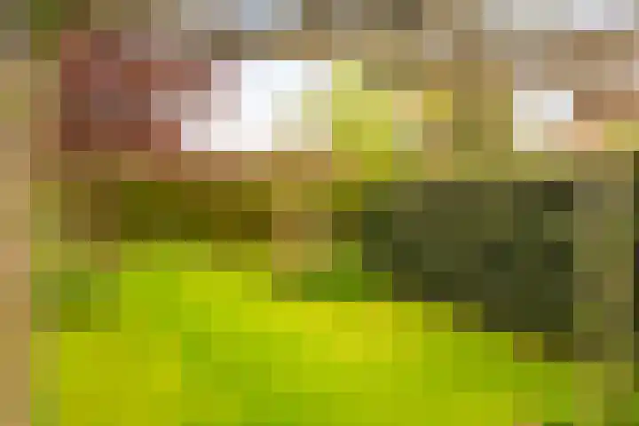 Rentmeesterhof 9 Eerbeek thumbnail 34