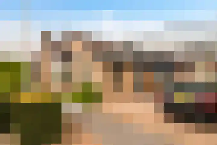 Rentmeesterhof 9 Eerbeek thumbnail 6