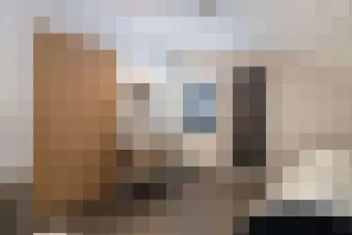 Rentmeesterlaan 7 Weert thumbnail 18