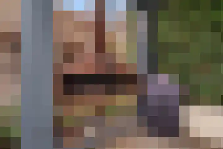 Rentmeesterlaan 7 Weert thumbnail 21