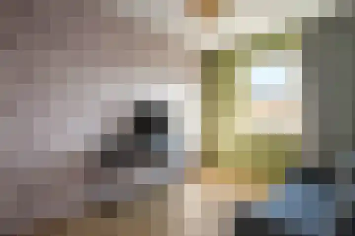 Rentmeesterstuin 26 Zevenhuizen thumbnail 18