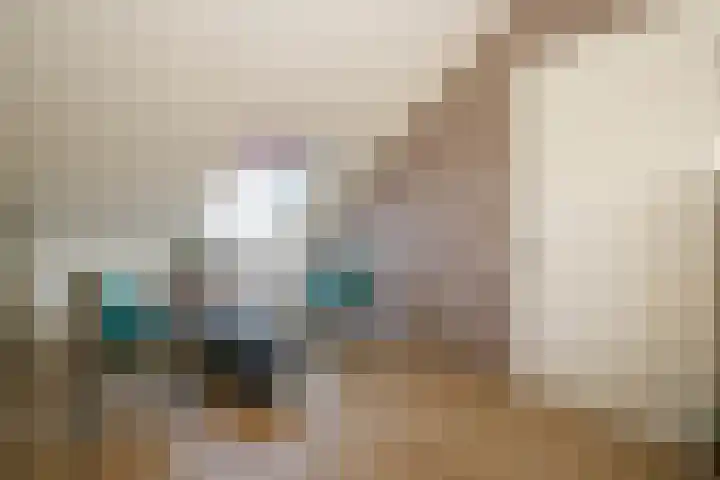 Rentmeesterstuin 26 Zevenhuizen thumbnail 23