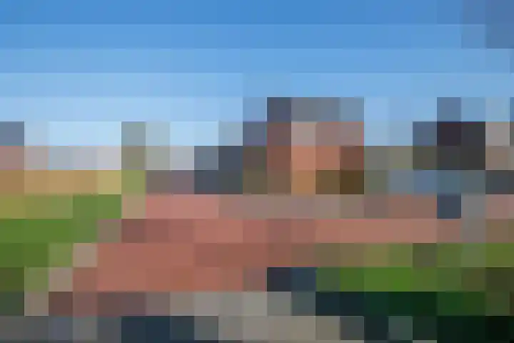 Rentmeesterstuin 26 Zevenhuizen thumbnail 34