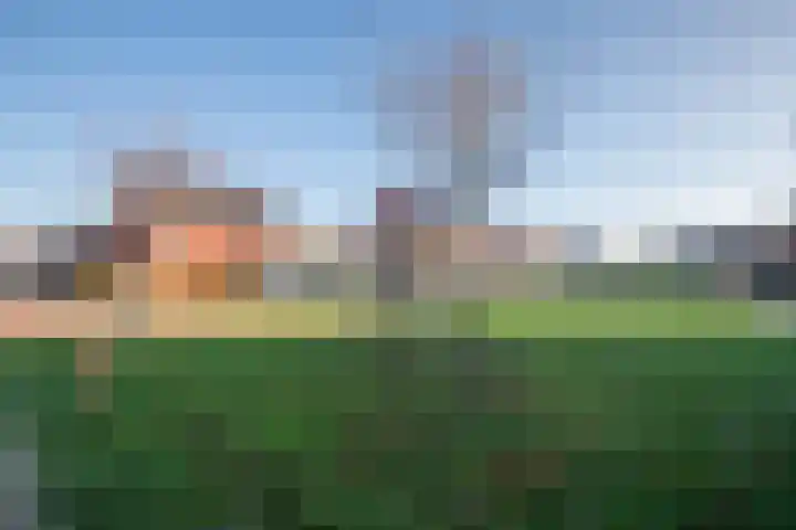 Rentmeesterstuin 26 Zevenhuizen thumbnail 35