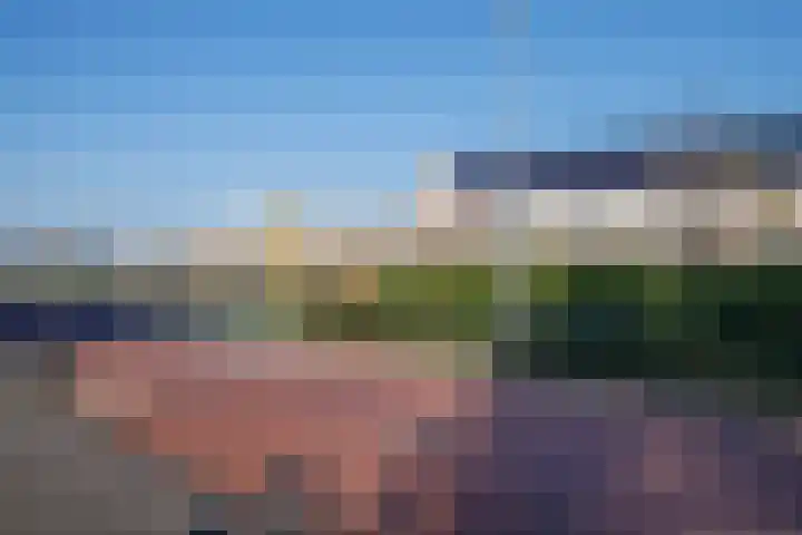 Rentmeesterstuin 26 Zevenhuizen thumbnail 36