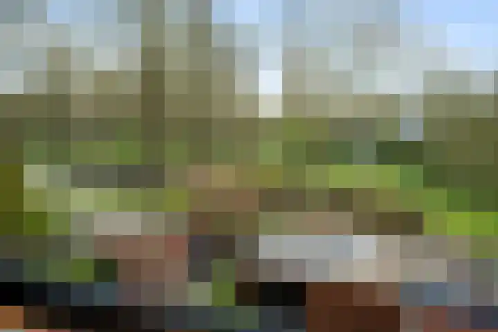 Repel 111 Hellevoetsluis thumbnail 37