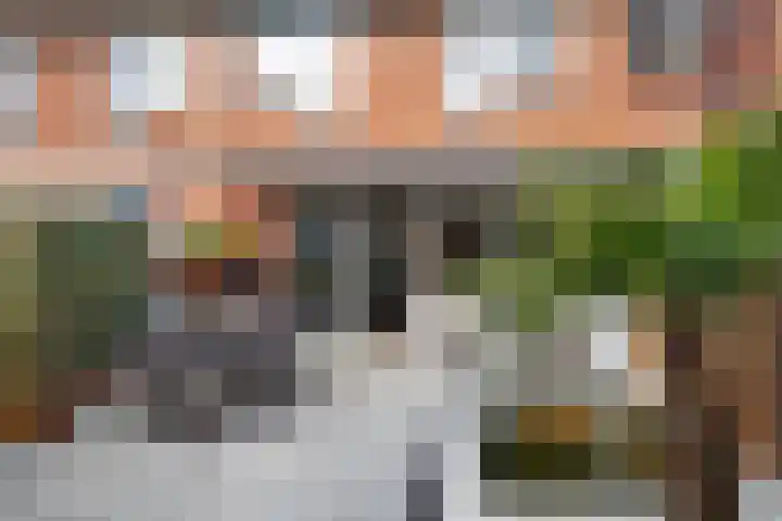 Repel 111 Hellevoetsluis thumbnail 4