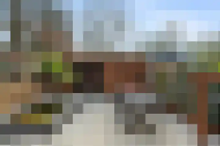 Repel 111 Hellevoetsluis thumbnail 42