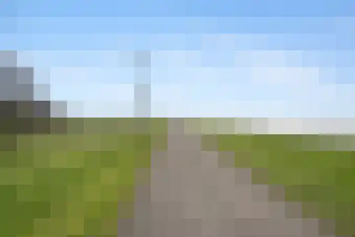 Repel 111 Hellevoetsluis thumbnail 8
