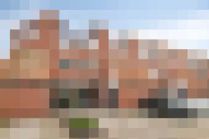 Repel 34 Hellevoetsluis thumbnail 4