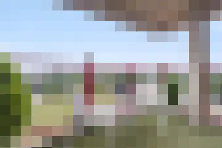 Repel 39 Veldhoven thumbnail 22