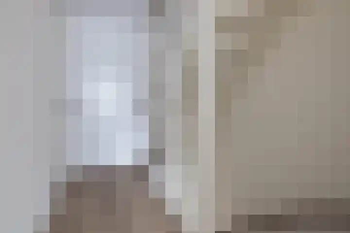 Repelakker 25 Nuenen thumbnail 17
