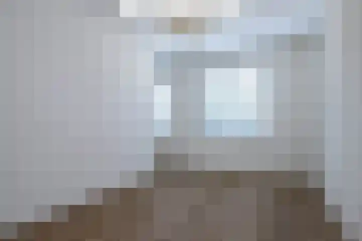 Repelakker 25 Nuenen thumbnail 19