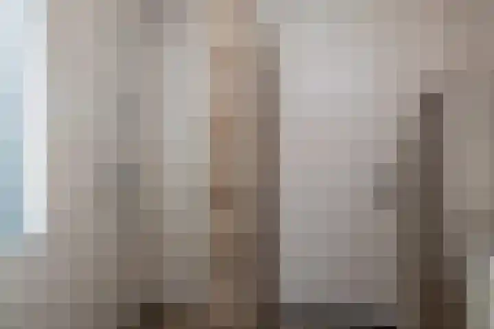 Repelakker 25 Nuenen thumbnail 24