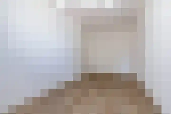 Repelakker 25 Nuenen thumbnail 29