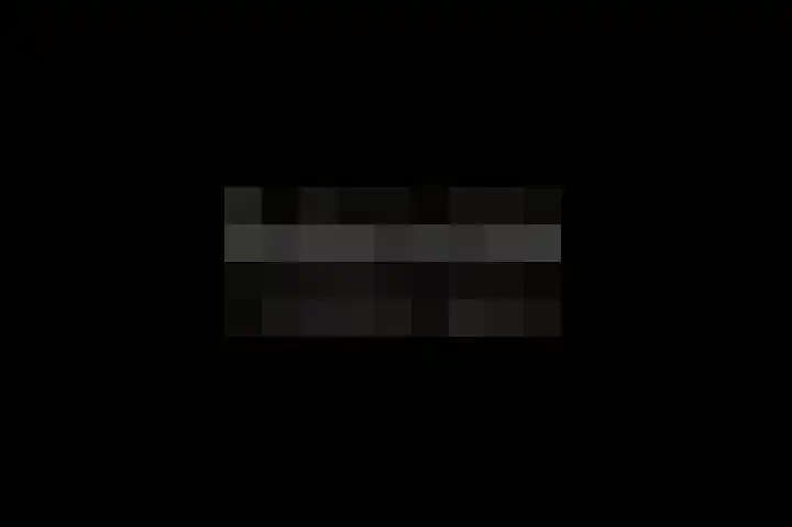 Repelakker 25 Nuenen thumbnail 32