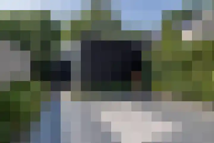 Repelakker 25 Nuenen thumbnail 34