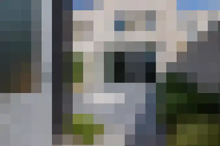 Repelakker 25 Nuenen thumbnail 35