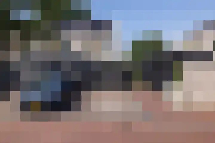 Repelakker 25 Nuenen thumbnail 37