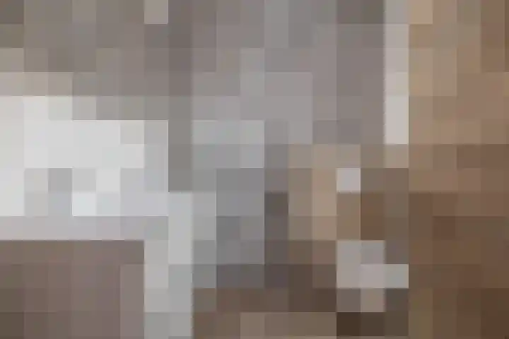 Repelakker 25 Nuenen thumbnail 4