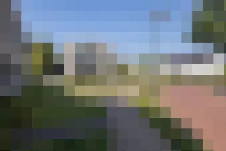 Repelakker 25 Nuenen thumbnail 41