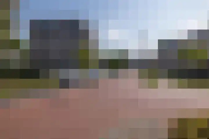 Repelakker 25 Nuenen thumbnail 42