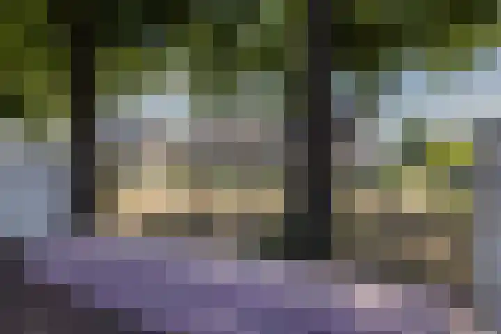 Repelakker 25 Nuenen thumbnail 43