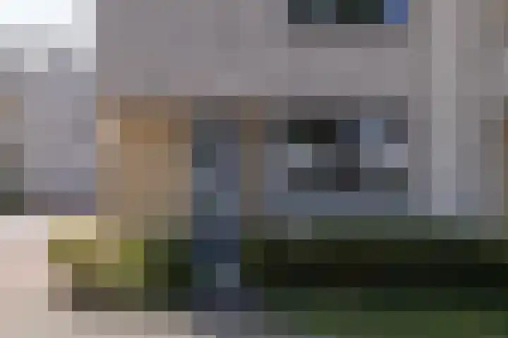 Repelakker 25 Nuenen thumbnail 7