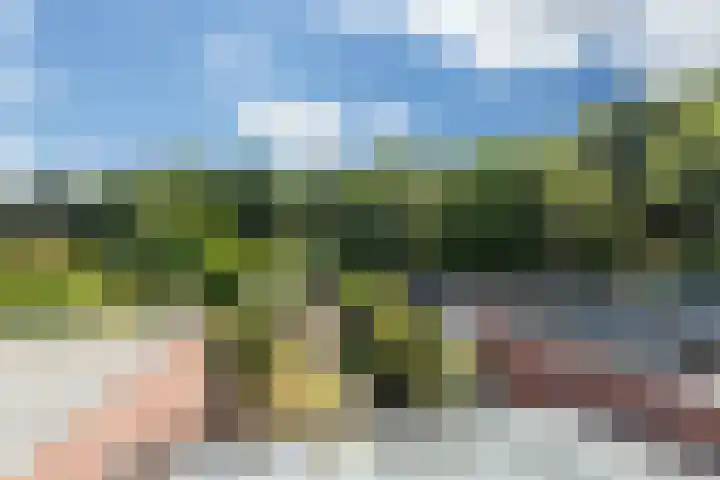 Repelweg 17 Vught thumbnail 26