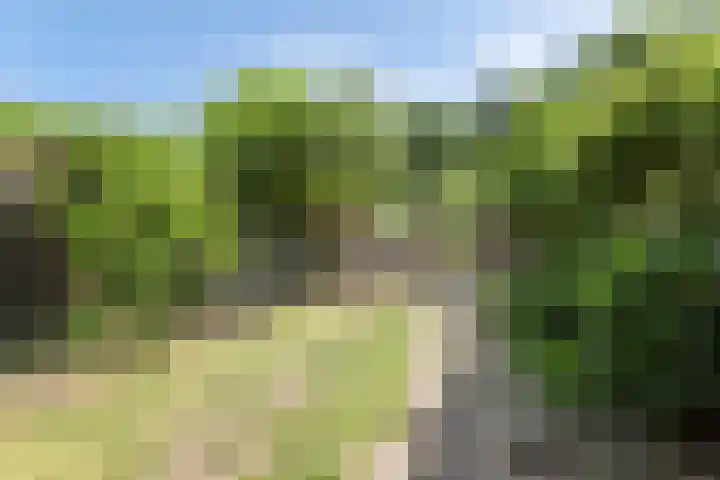 Repelweg 17 Vught thumbnail 39