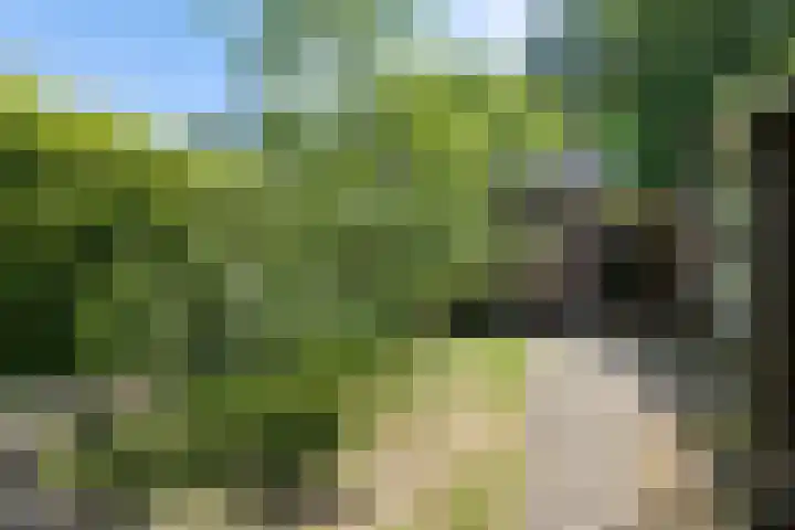 Repelweg 17 Vught thumbnail 42