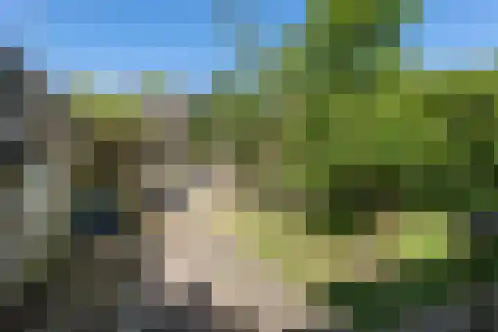 Repelweg 17 Vught thumbnail 5