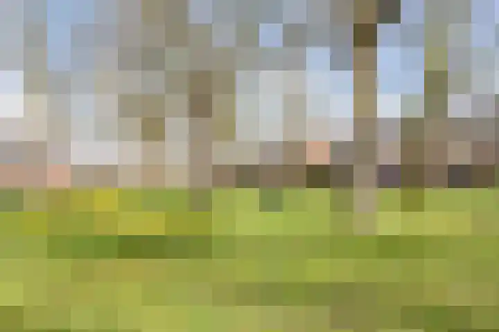 Repelweg 99 Vught thumbnail 36