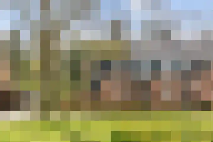 Repelweg 99 Vught thumbnail 37