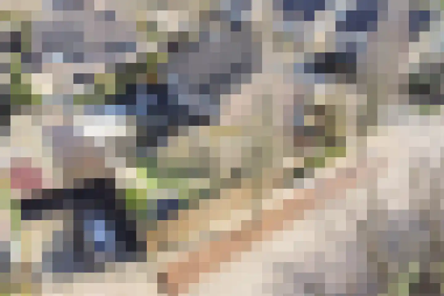 Resedalaan 35 Waalre