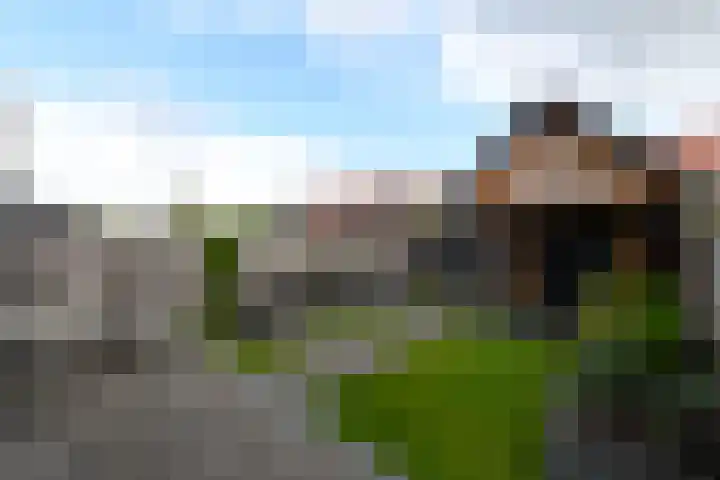 Resedawitje 15 Wolvega thumbnail 34