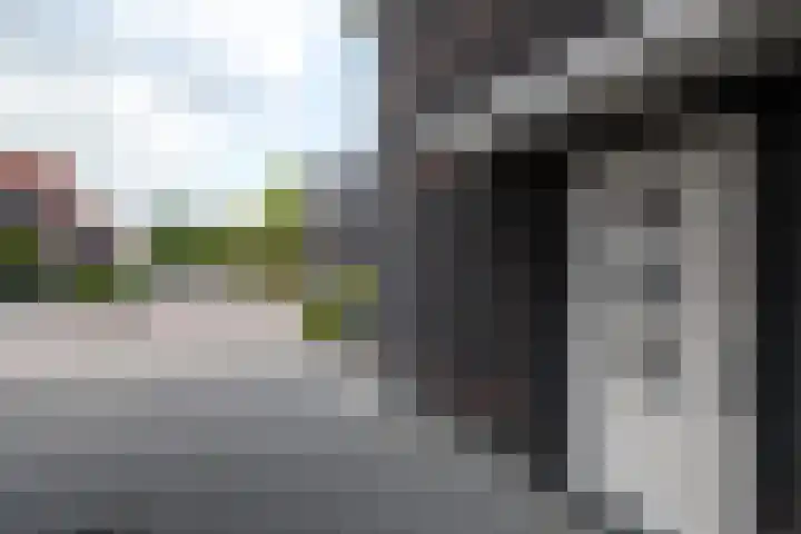 Resedawitje 15 Wolvega thumbnail 42