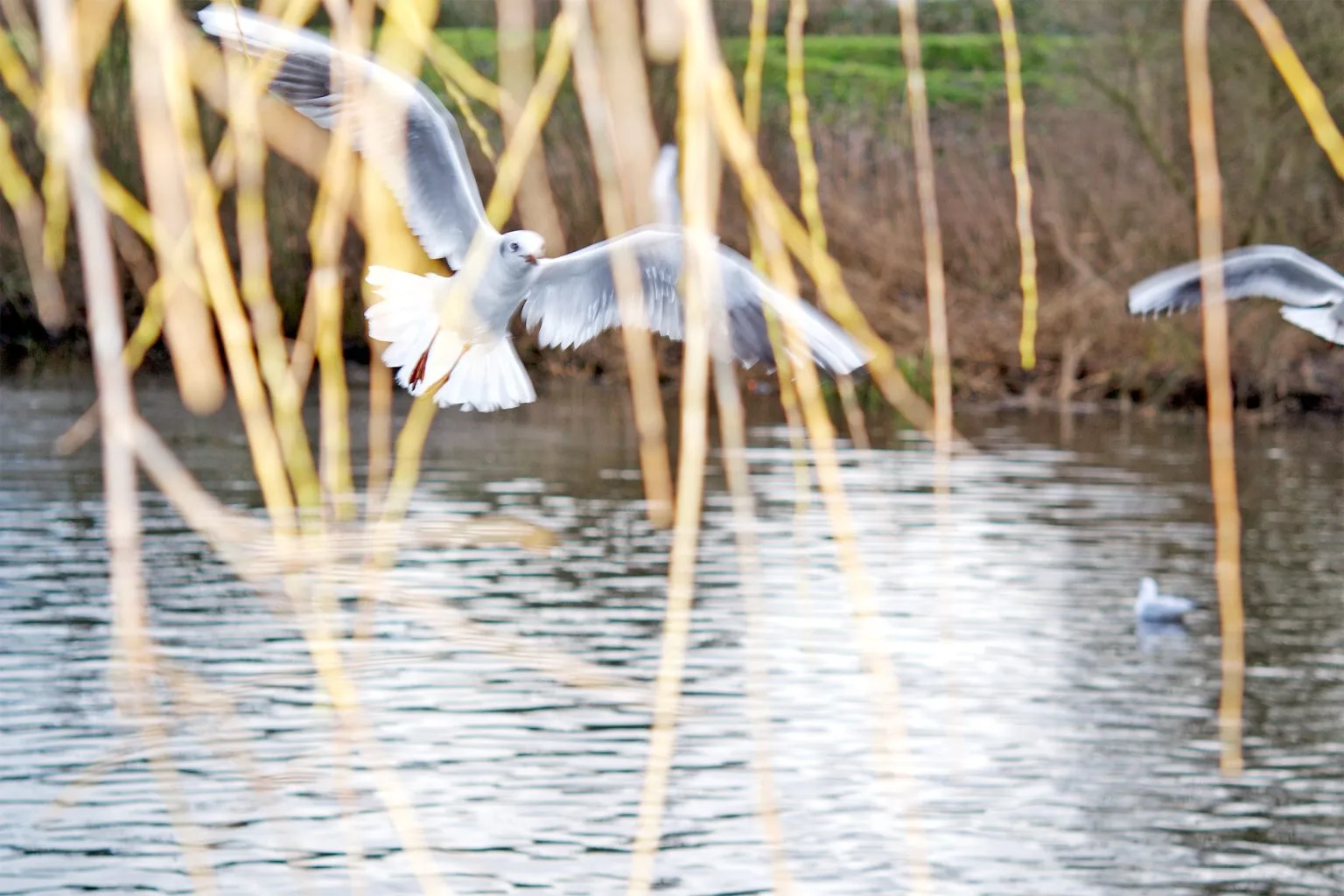 Team foto van RETECT real estate + architecture