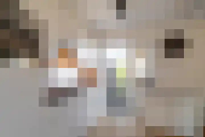 Retersbeekstraat 2 Landgraaf thumbnail 13