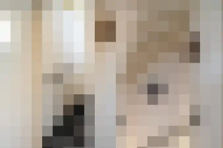 Retersbeekstraat 2 Landgraaf thumbnail 24