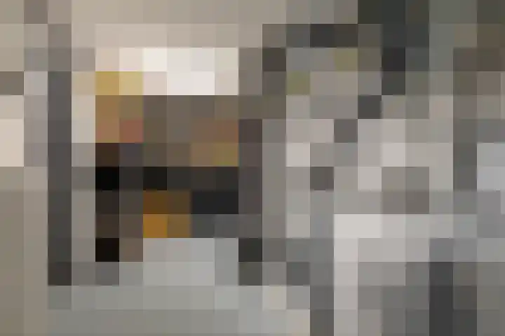 Retersbeekstraat 2 Landgraaf thumbnail 27