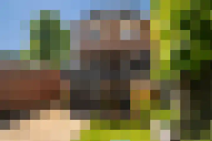 Retersbeekstraat 2 Landgraaf thumbnail 32