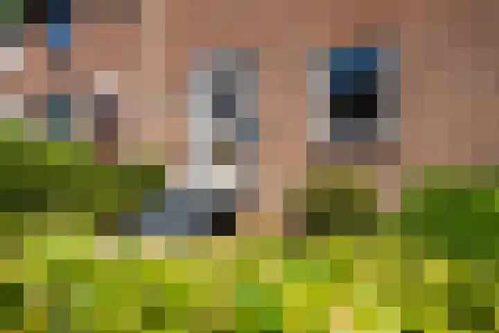 Retersbeekstraat 2 Landgraaf thumbnail 4