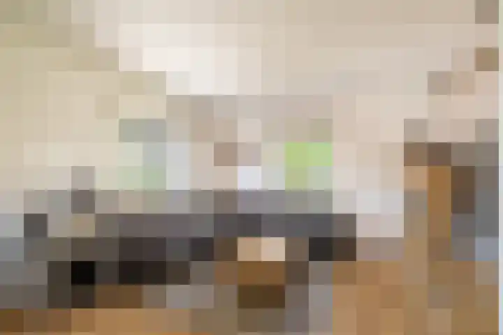 Retersbeekstraat 2 Landgraaf thumbnail 8