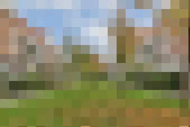 Retiefstraat 2 C Amsterdam thumbnail 20