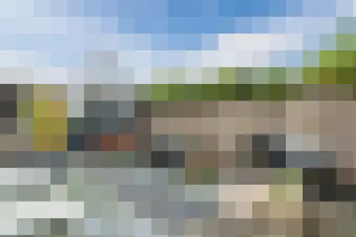 Retiefstraat 211 Ermelo thumbnail 39