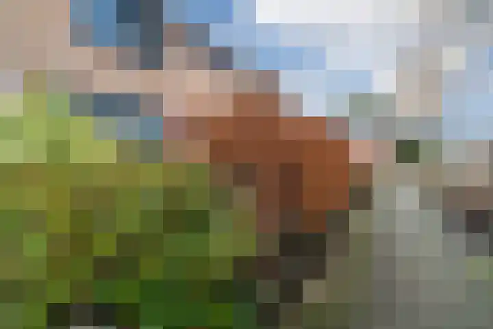 Retiefstraat 211 Ermelo thumbnail 64