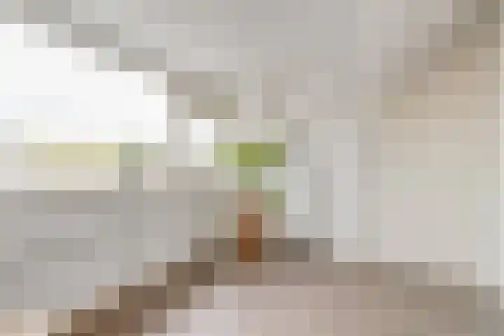 Retiefstraat 221 Ermelo thumbnail 28